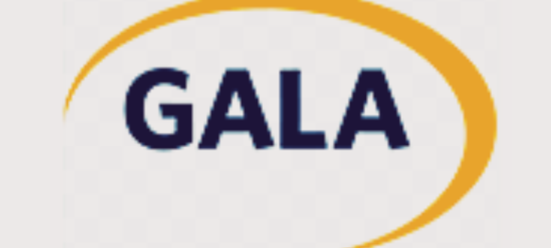 全球化和本地化協(xié)會（GALA）